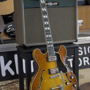 Guitarra Semi-Hollow T486B